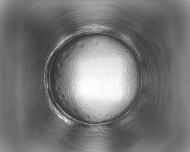 X0000060760843200512011511