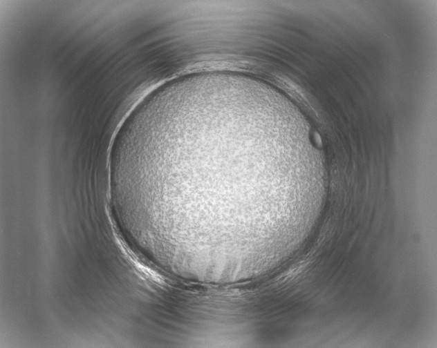 X0000060760844200512011511