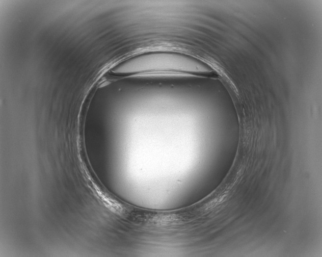 X0000060760845200512011511
