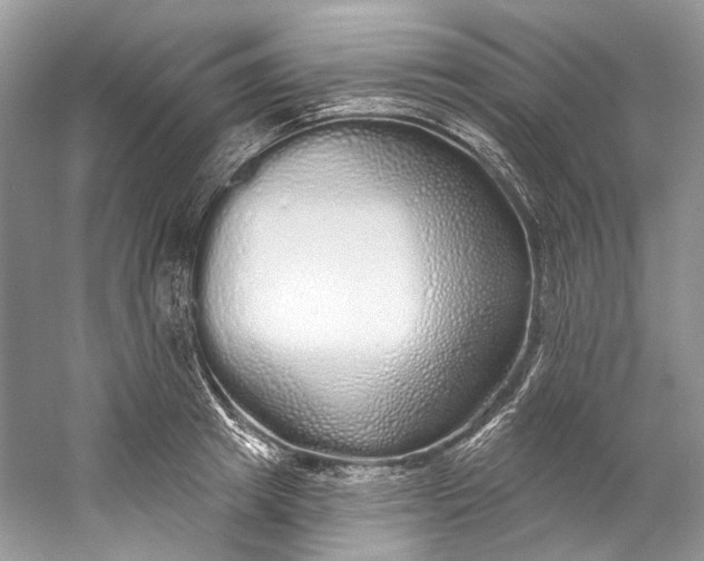 X0000060760849200512011512