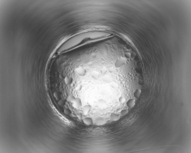 X0000060760851200512011512