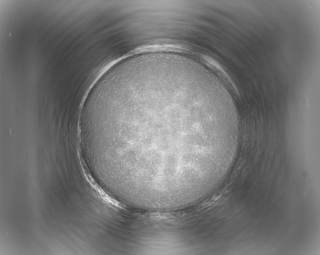 X0000060760852200512011512