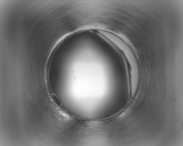 X0000060760854200512011512