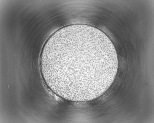 X0000060760856200512011512