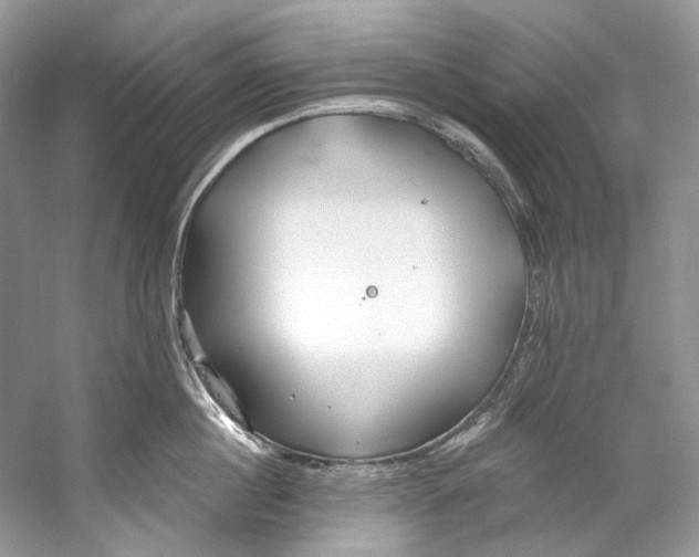 X0000060760860200512011512