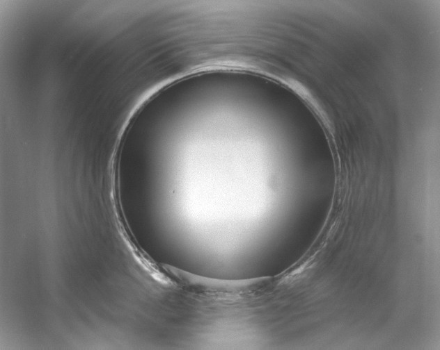 X0000060760862200512011512