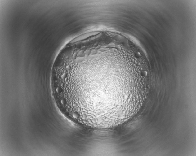 X0000060760863200512011512