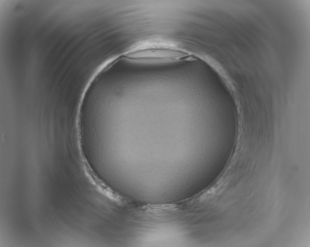 X0000060760864200512011512