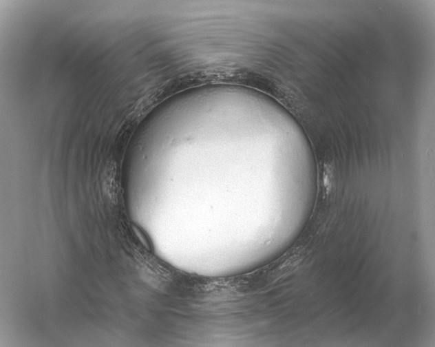 X0000060760867200512011511