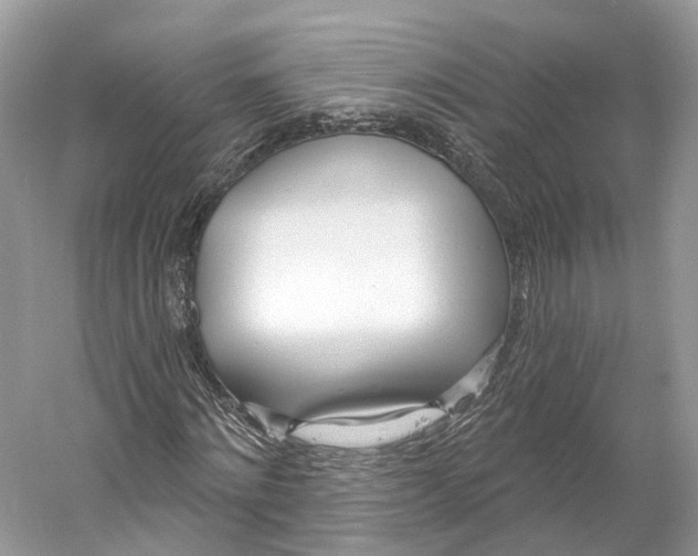 X0000060760868200512011511