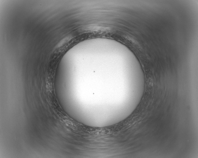 X0000060760869200512011511