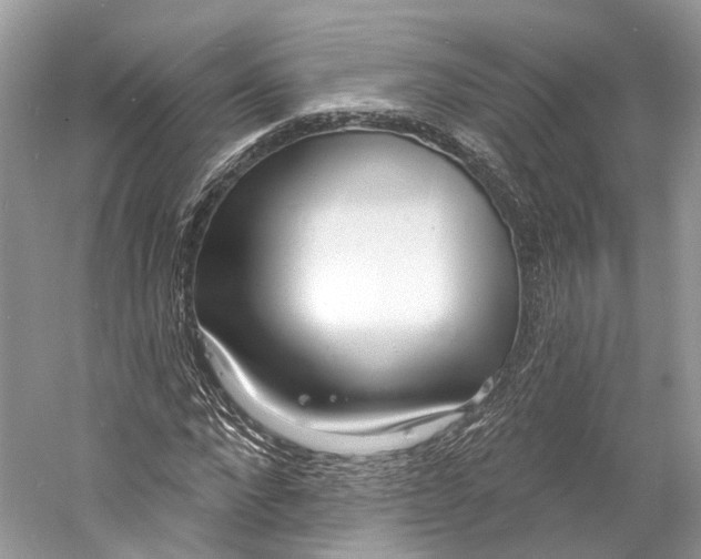 X0000060760872200512011511