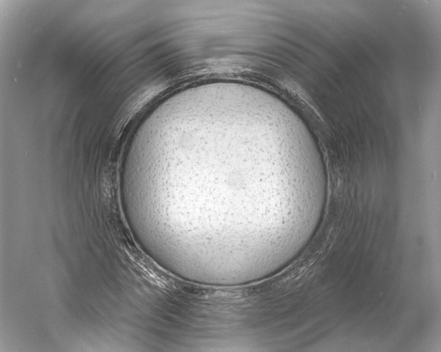 X0000060760874200512011511