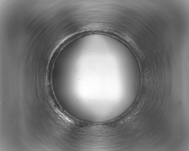 X0000060760880200512011511