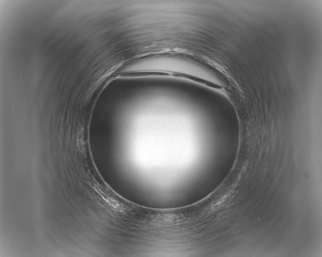 X0000060760881200512011511