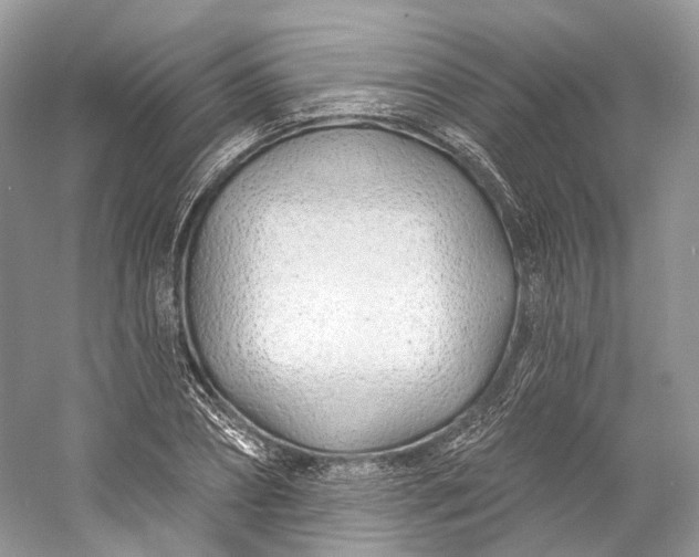 X0000060760882200512011511
