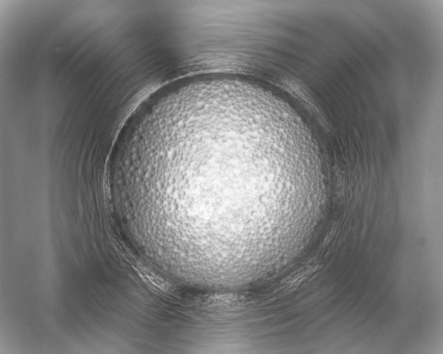 X0000060760883200512011511