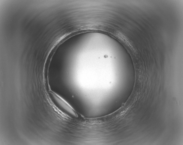 X0000060760884200512011511