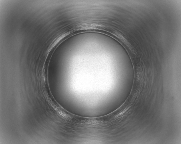 X0000060760885200512011511