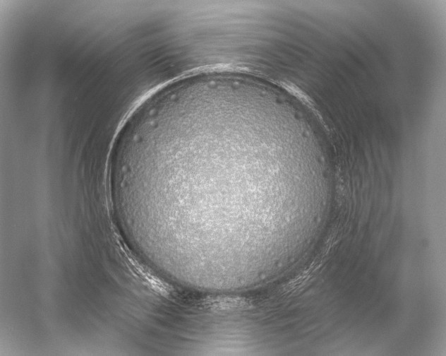 X0000060760886200512011511