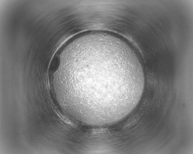 X0000060760887200512011511