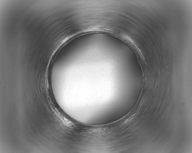 X0000060760892200512011510