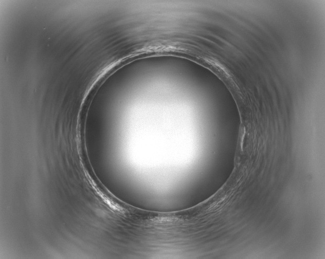 X0000060760894200512011510