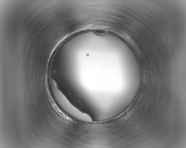 X0000060760896200512011510