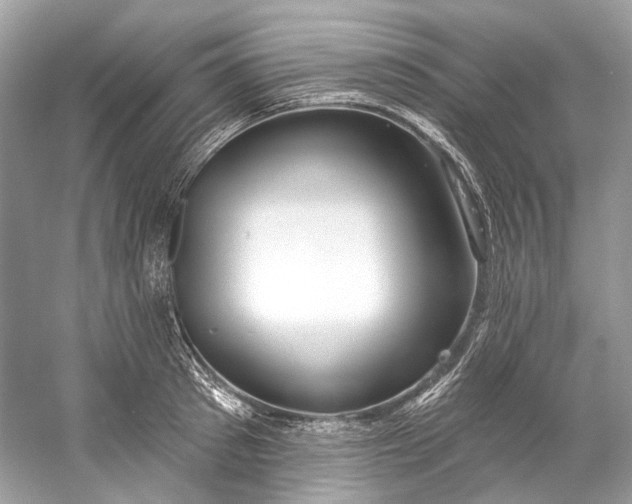 X0000060760897200512011510