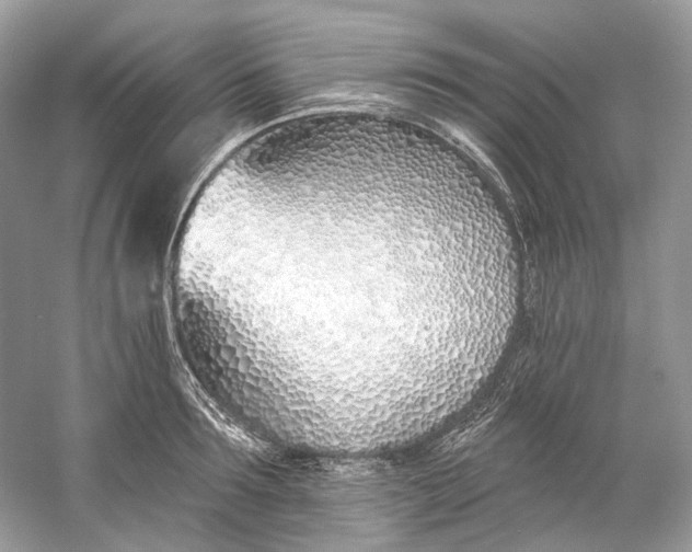 X0000060760899200512011510