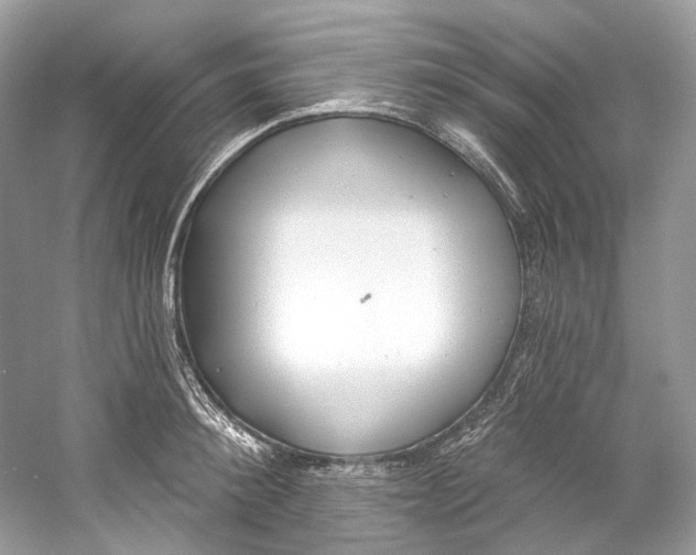 X0000060760900200512011510