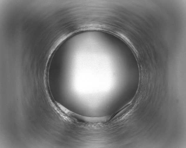 X0000060760901200512011510