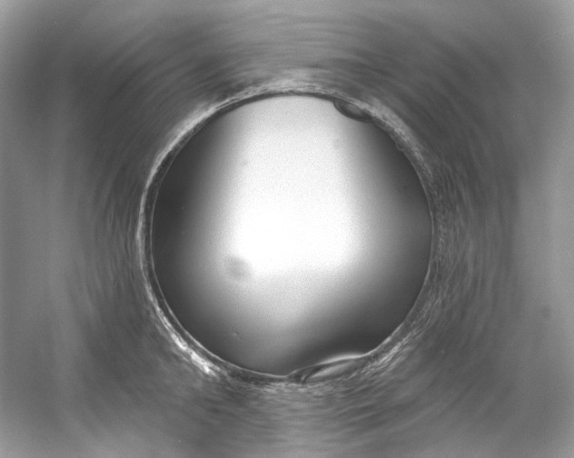X0000060760902200512011510