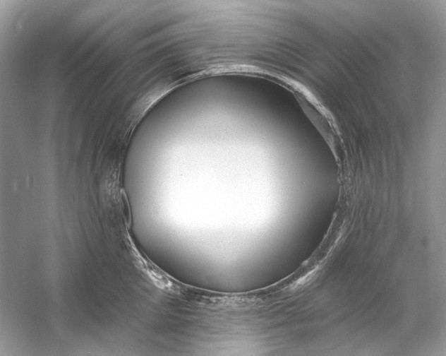 X0000060760905200512011510