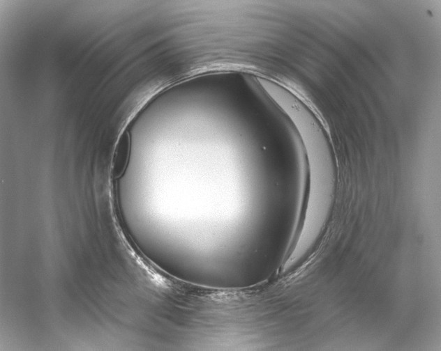 X0000060760906200512011510