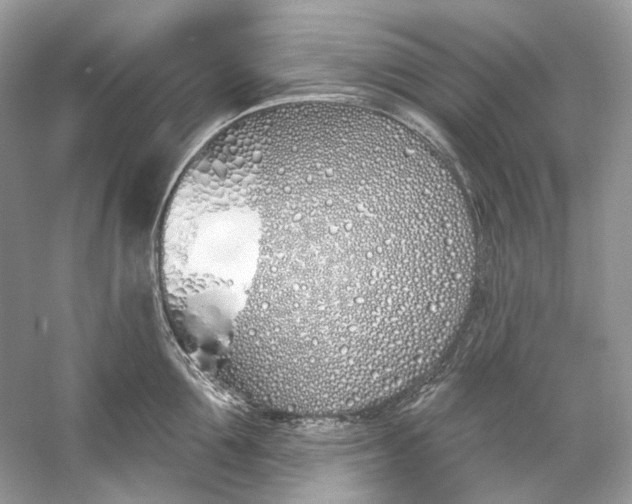 X0000060760907200512011510