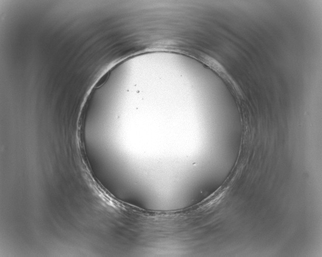 X0000060760908200512011510