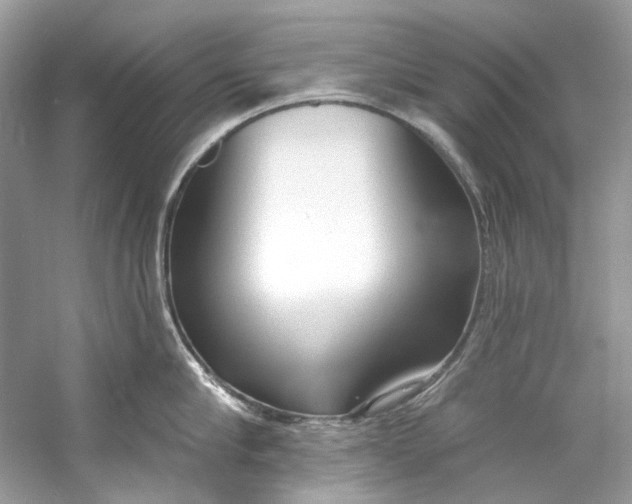 X0000060760910200512011510