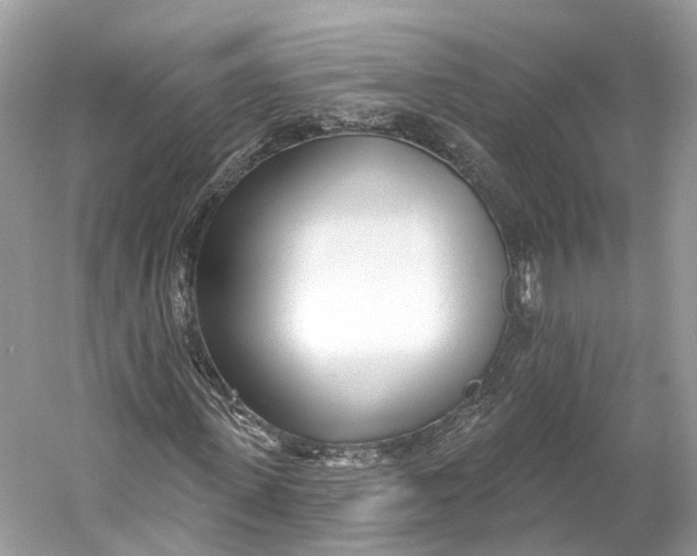 X0000060760915200512011509