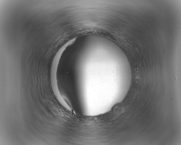 X0000060760916200512011509