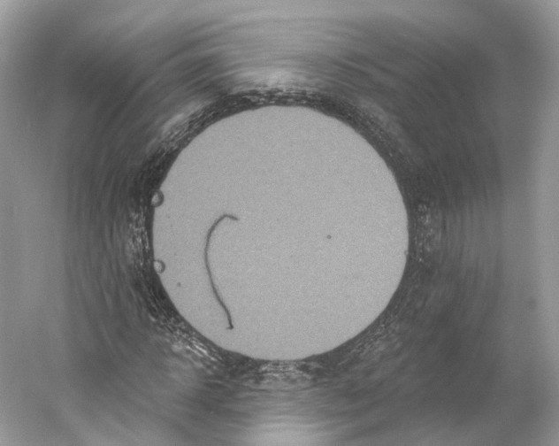 X0000060760918200512011509