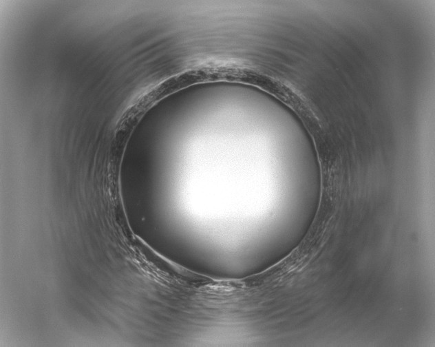 X0000060760919200512011509