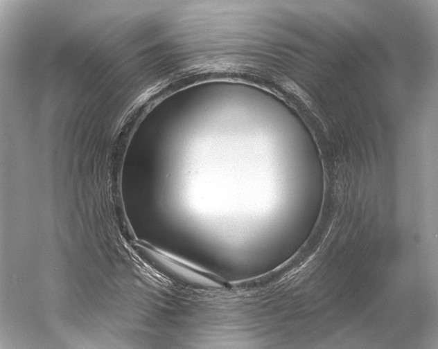 X0000060760922200512011509