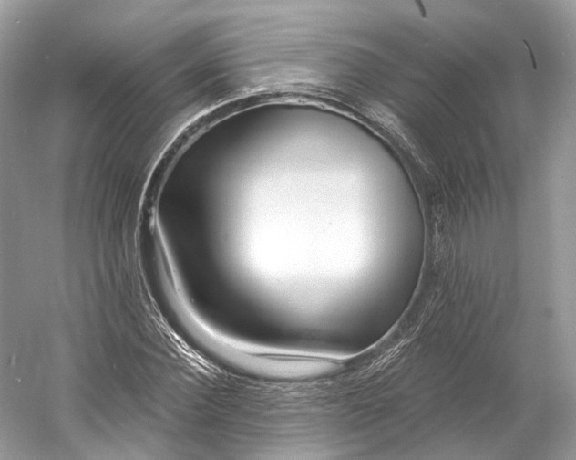 X0000060760924200512011509