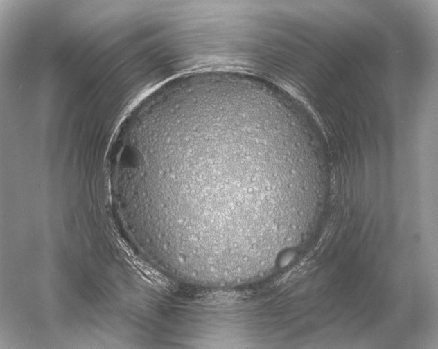 X0000060760925200512011510