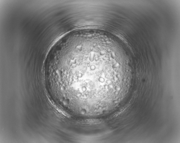 X0000060760933200512011510
