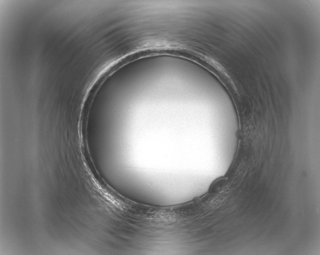 X0000060760935200512011510