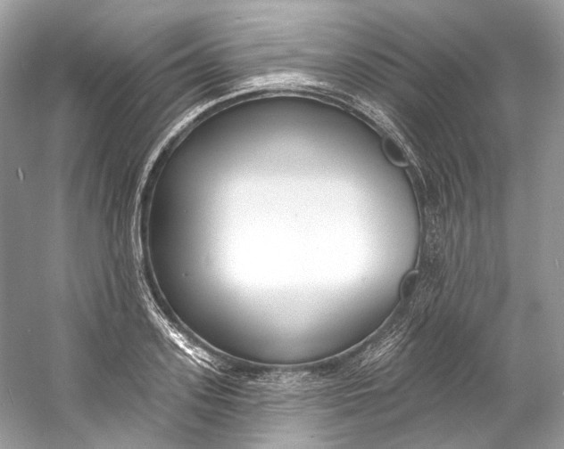 X0000060760939200512011510