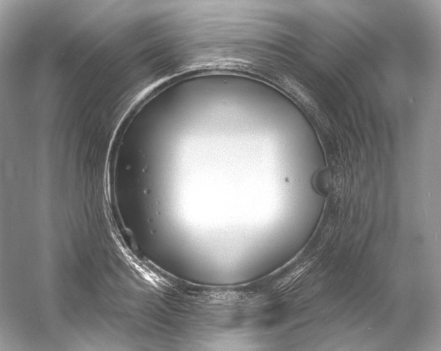 X0000060760940200512011510