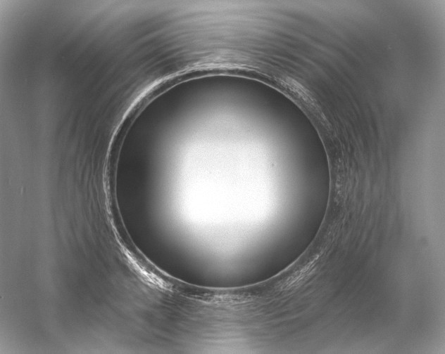 X0000060760942200512011510